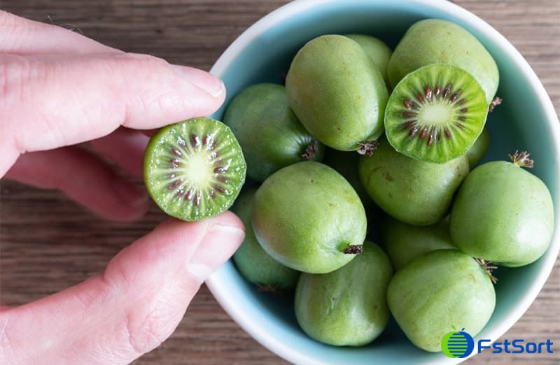 images/1682670001494kiwi fruit sorting machine.jpg